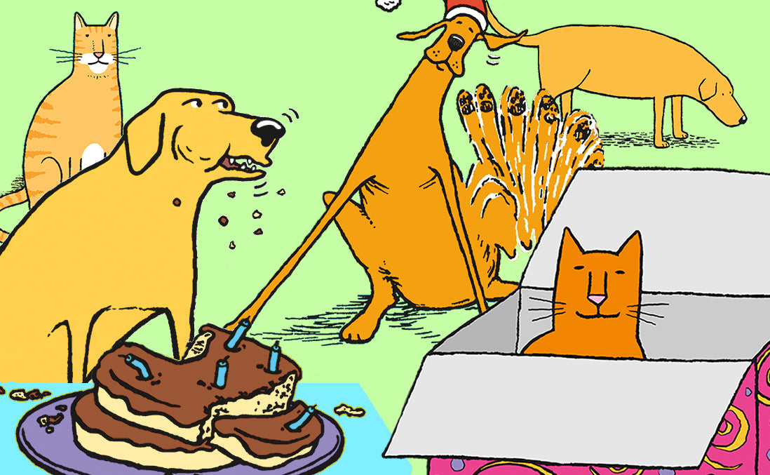 Funny greeting cards featuring cats, dogs and more from Snafu Cards