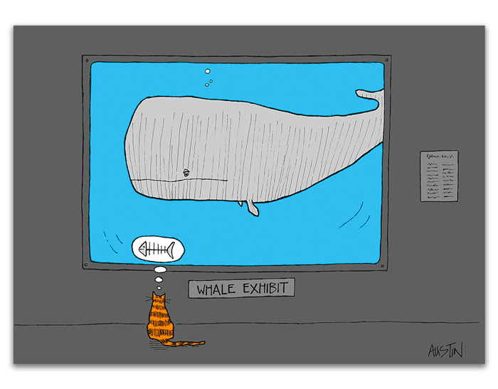 Cat & Whale