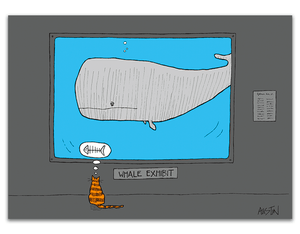 Cat & Whale