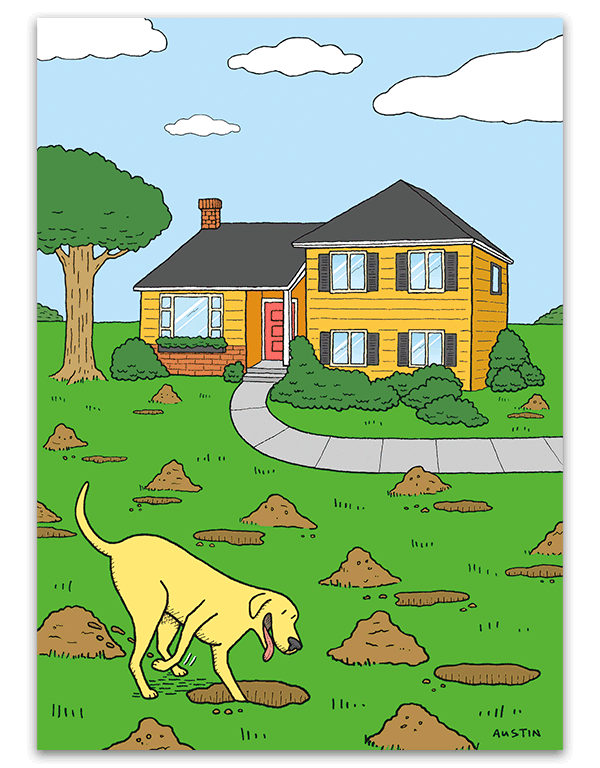 Dog's new digs