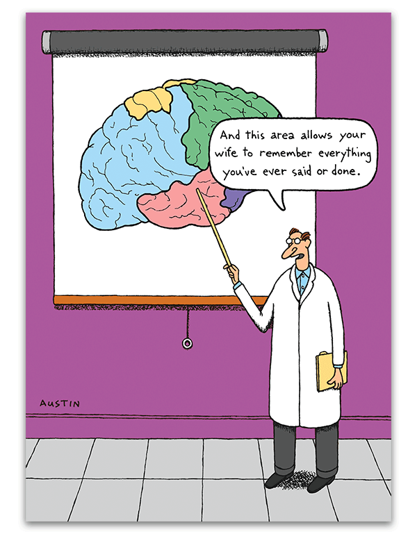 Brain Sections