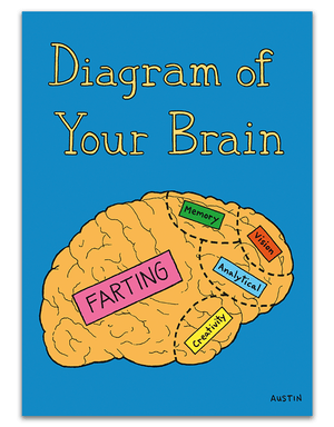 Brain Diagram